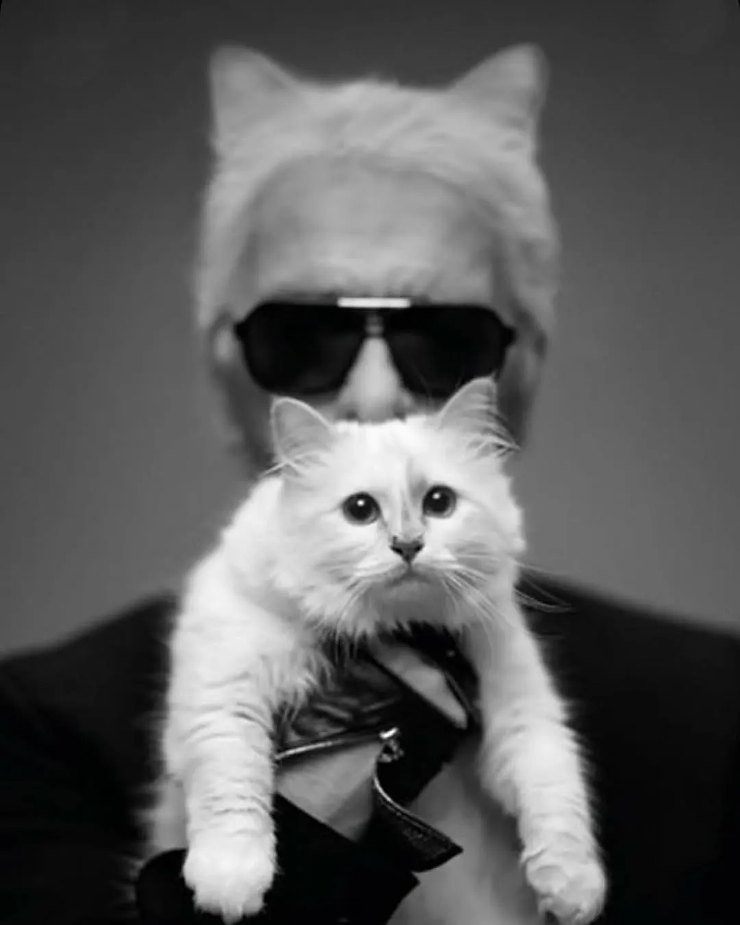 choupette2