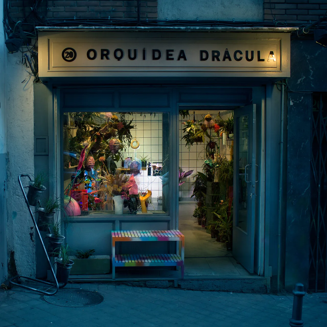 Orquideadracula Metalmagazine 1.jpg