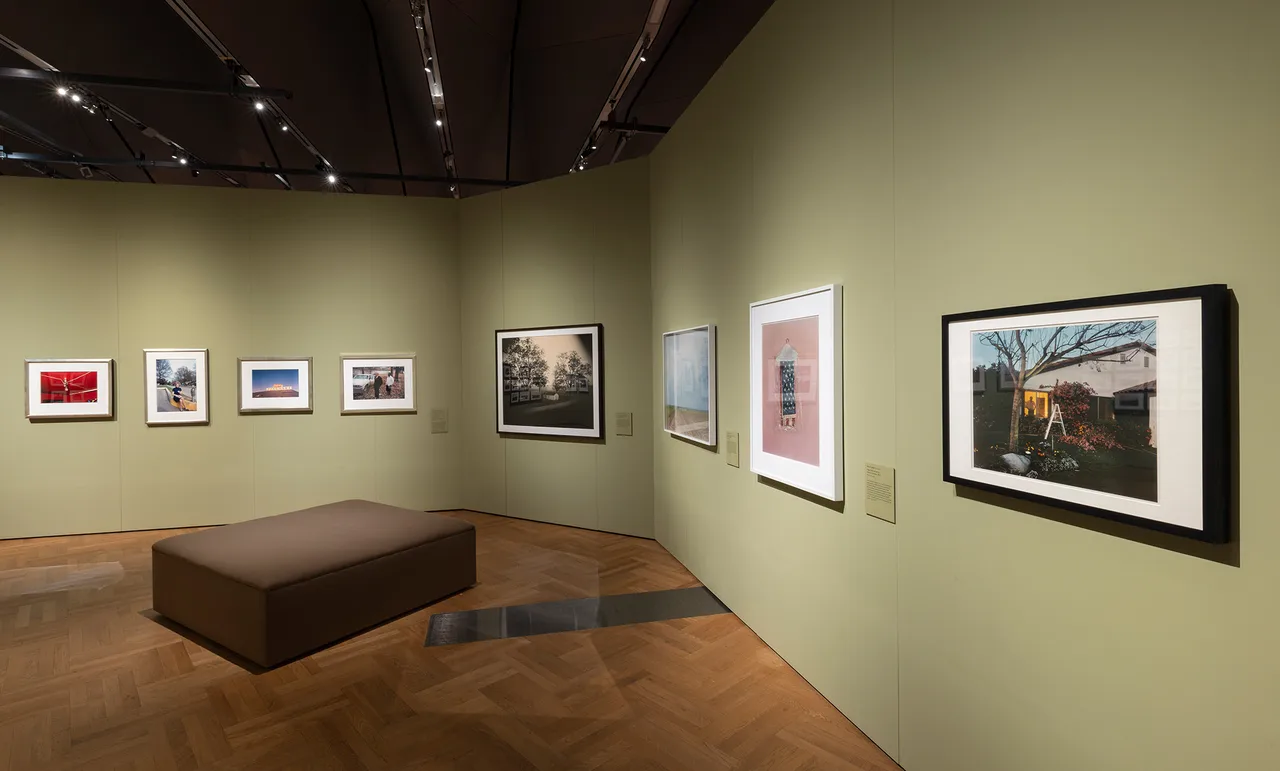 Installation-images-of-'Fragile-Beauty-at-VA-South-Kensington--Victoria-and-Albert-Museum-London-6
