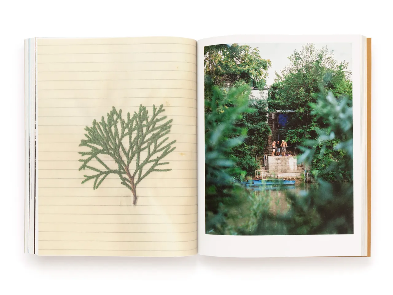 The Tree of Life Is Eternally Green Pascual Y Vincent Metal Magazine 040