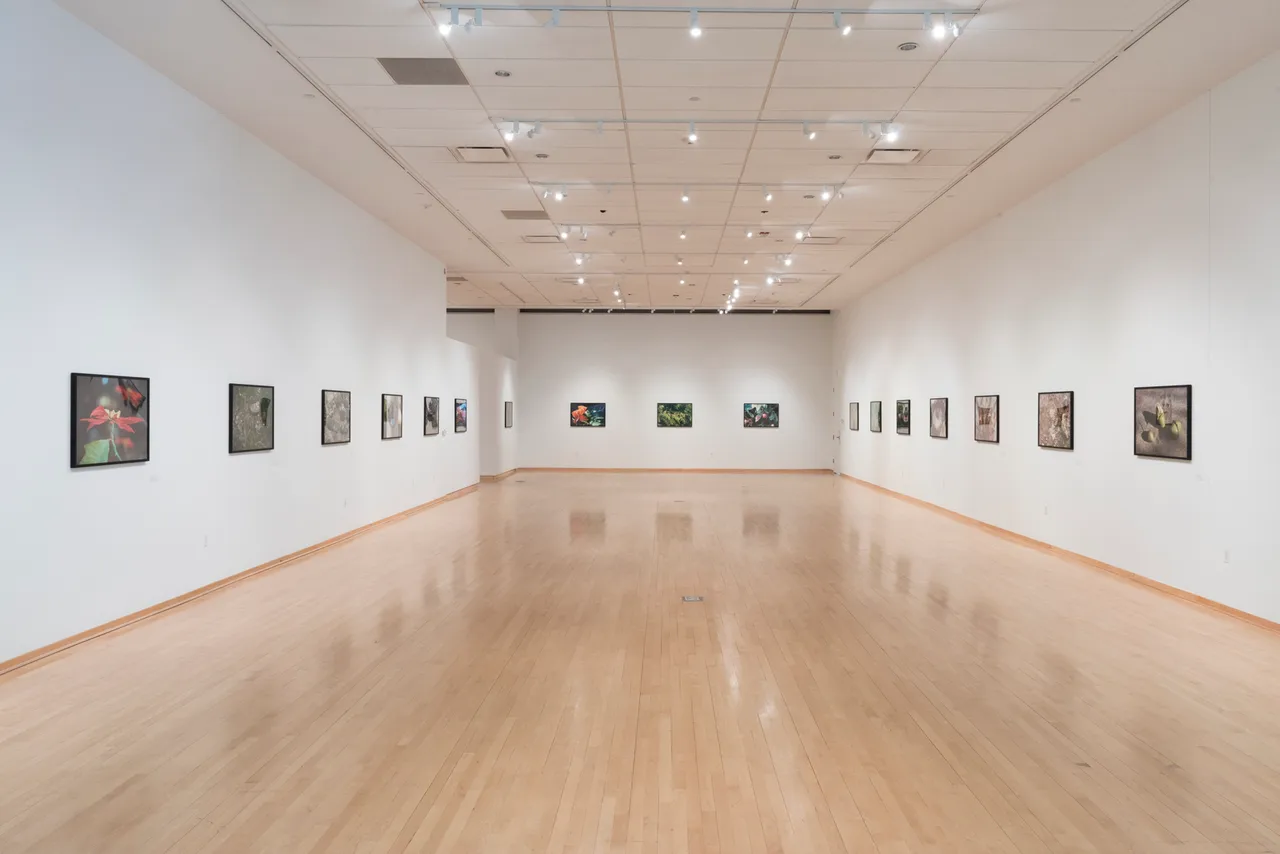 Exhibition Installation2.jpg