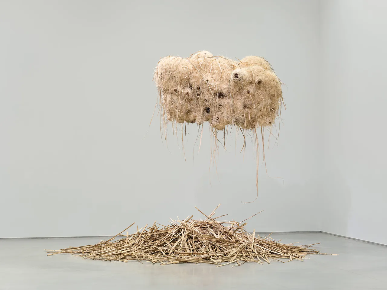 Andrea Chung