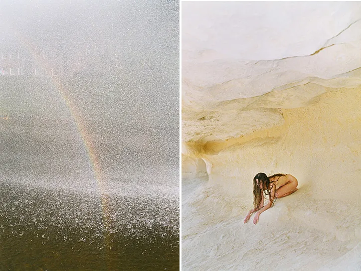 Synchrodogs