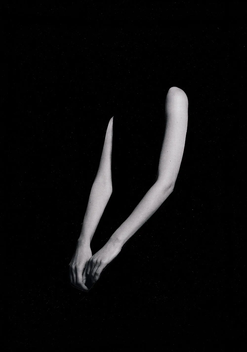 Arms