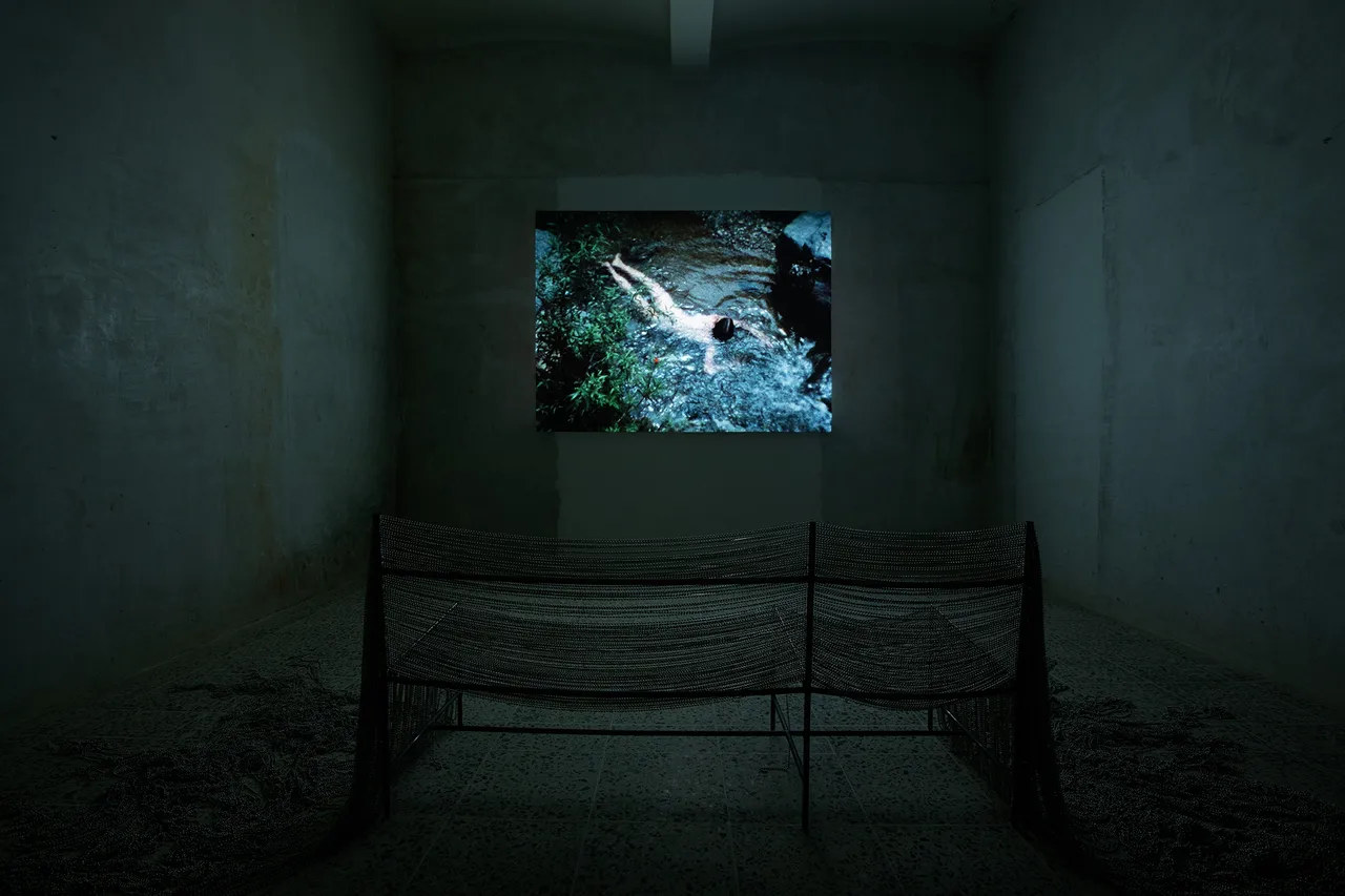 Ana Mendieta Metalmagazine 6