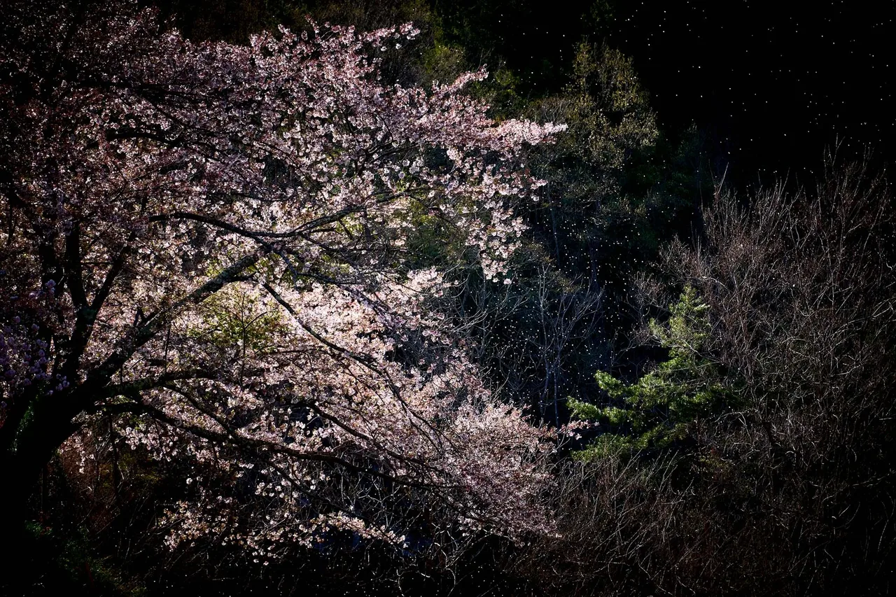 metal-yasuhiro-ogawa-edit-07