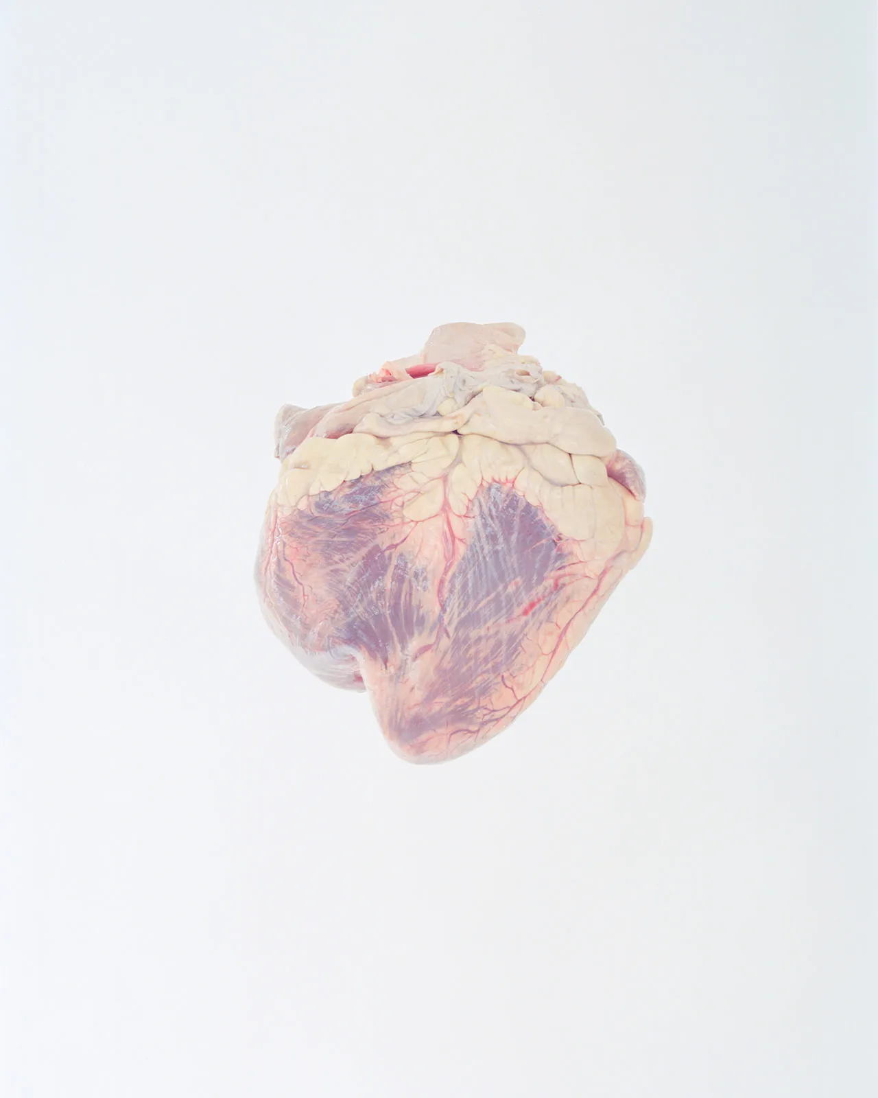 Ward Roberts Metalmagazine 22