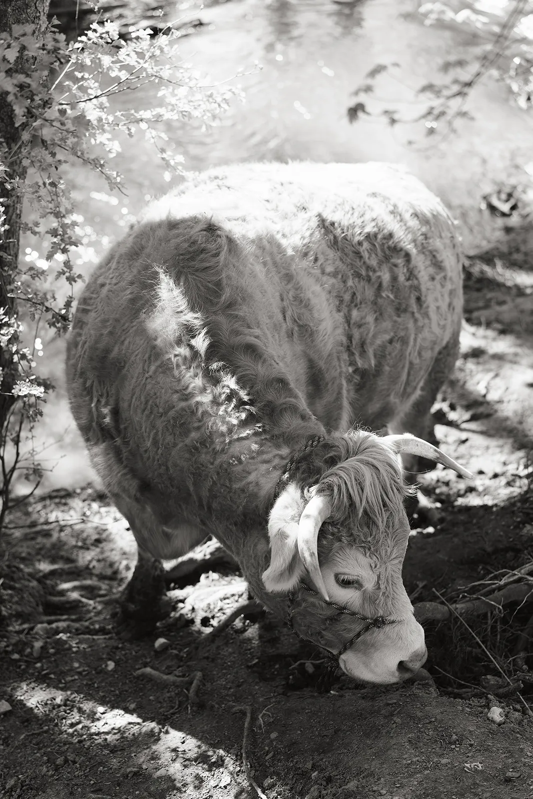 Yana Wernicke 9