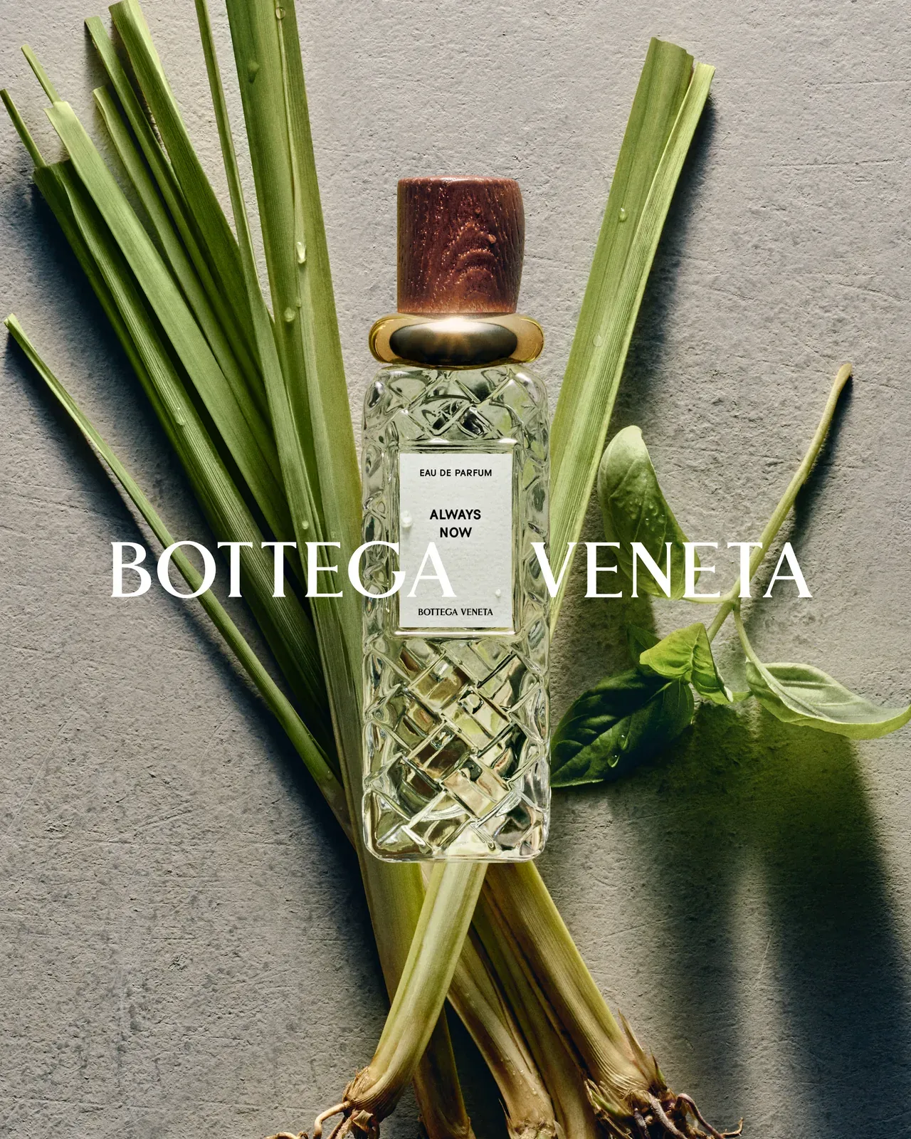 metal-bottega-veneta-03
