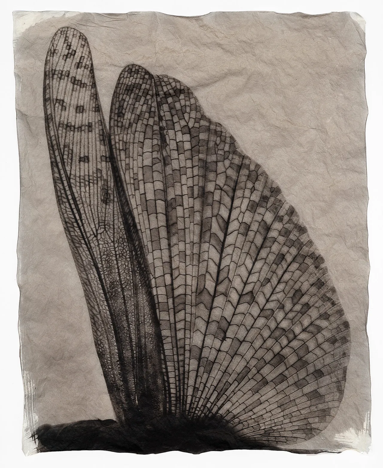 Wingwing3 Printscan