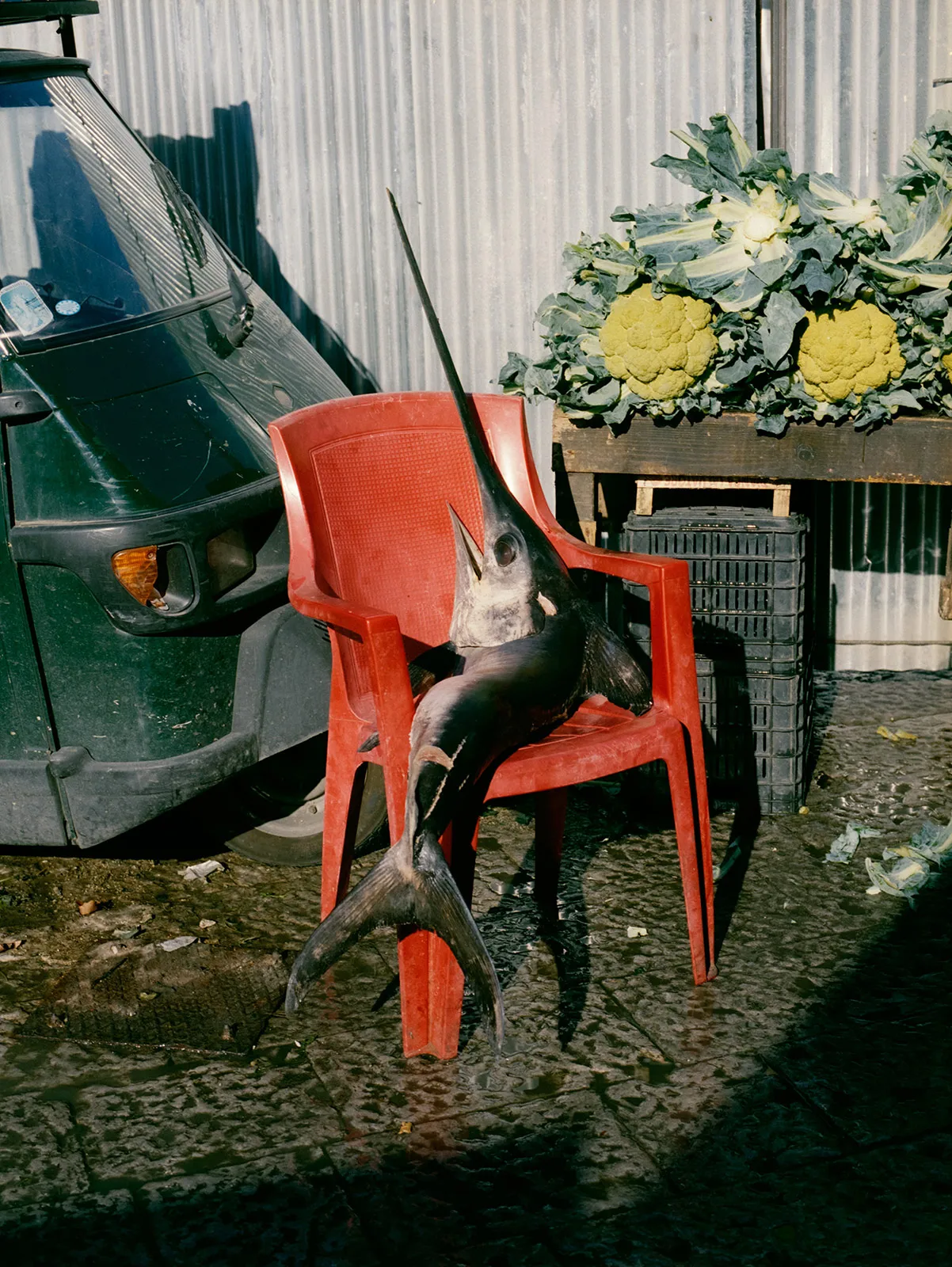 Camper Tws Campaign S S21 Metalmagazine 8