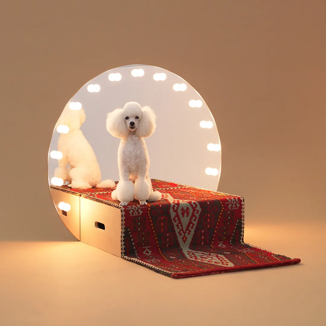 Architecture_for_Dogs_3
