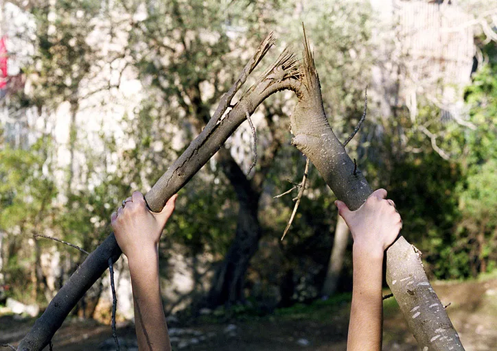 Neta Dror