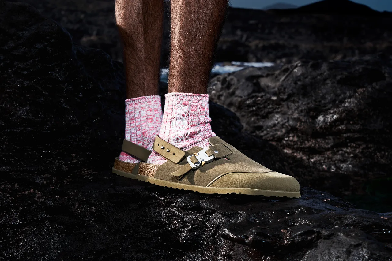 Dior X Birkenstock 5