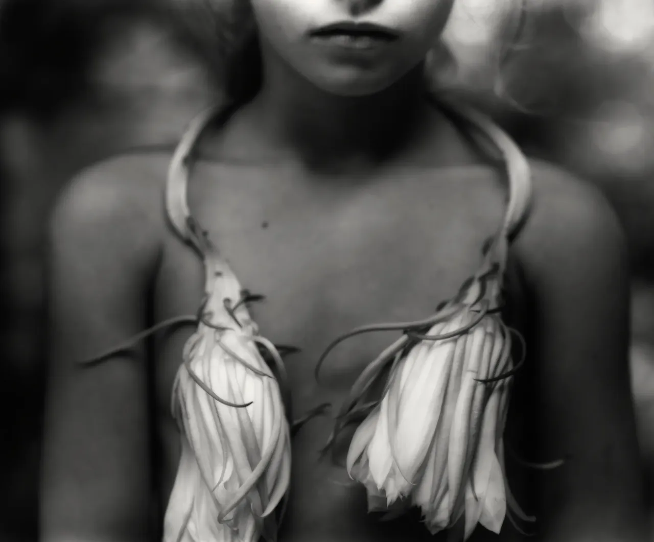 metal-sally-mann-10