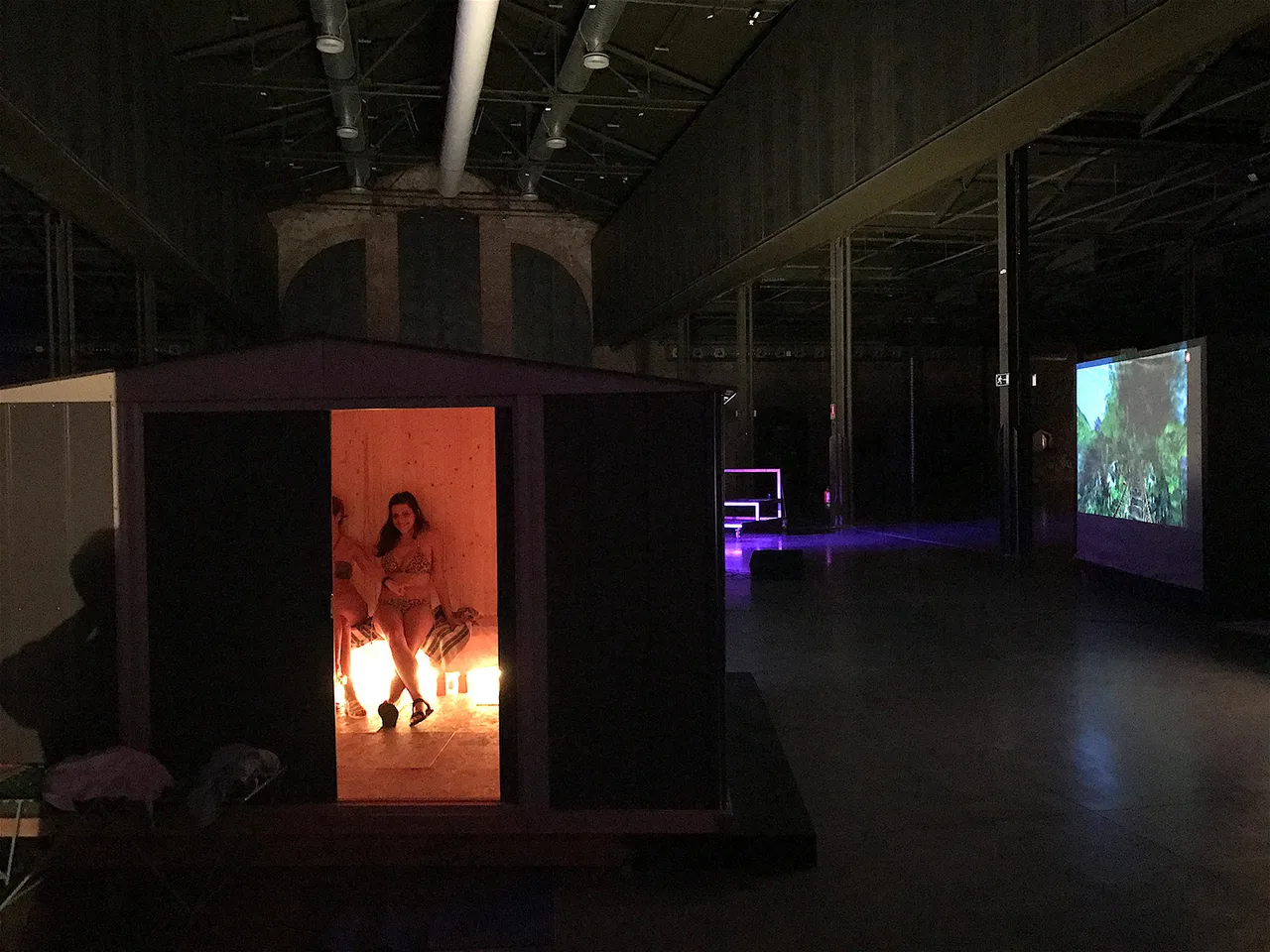 Sauna Installation View