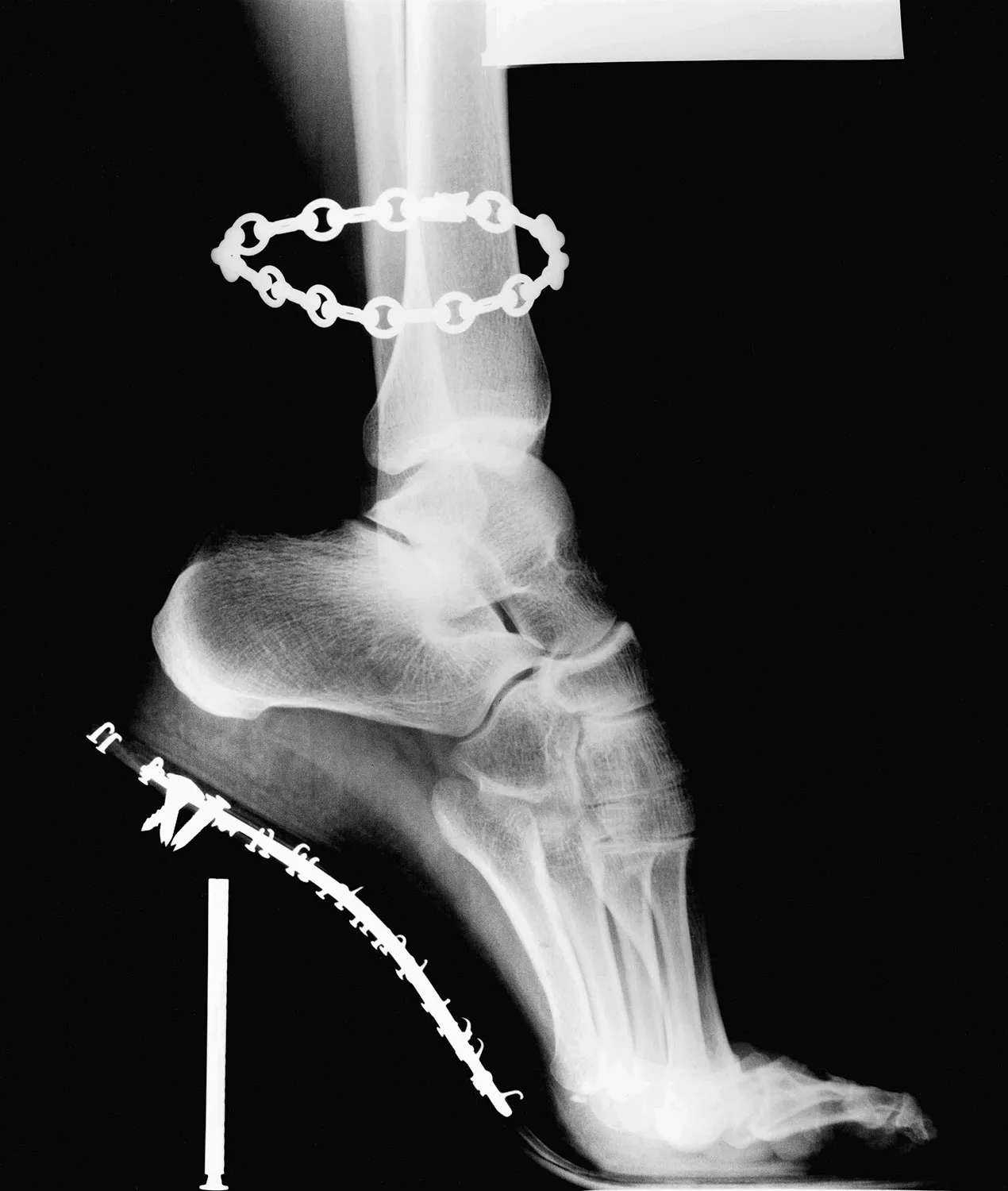 X Ray Van Cleef Arpels French Vogue 1995 C Helmut Newton Estate