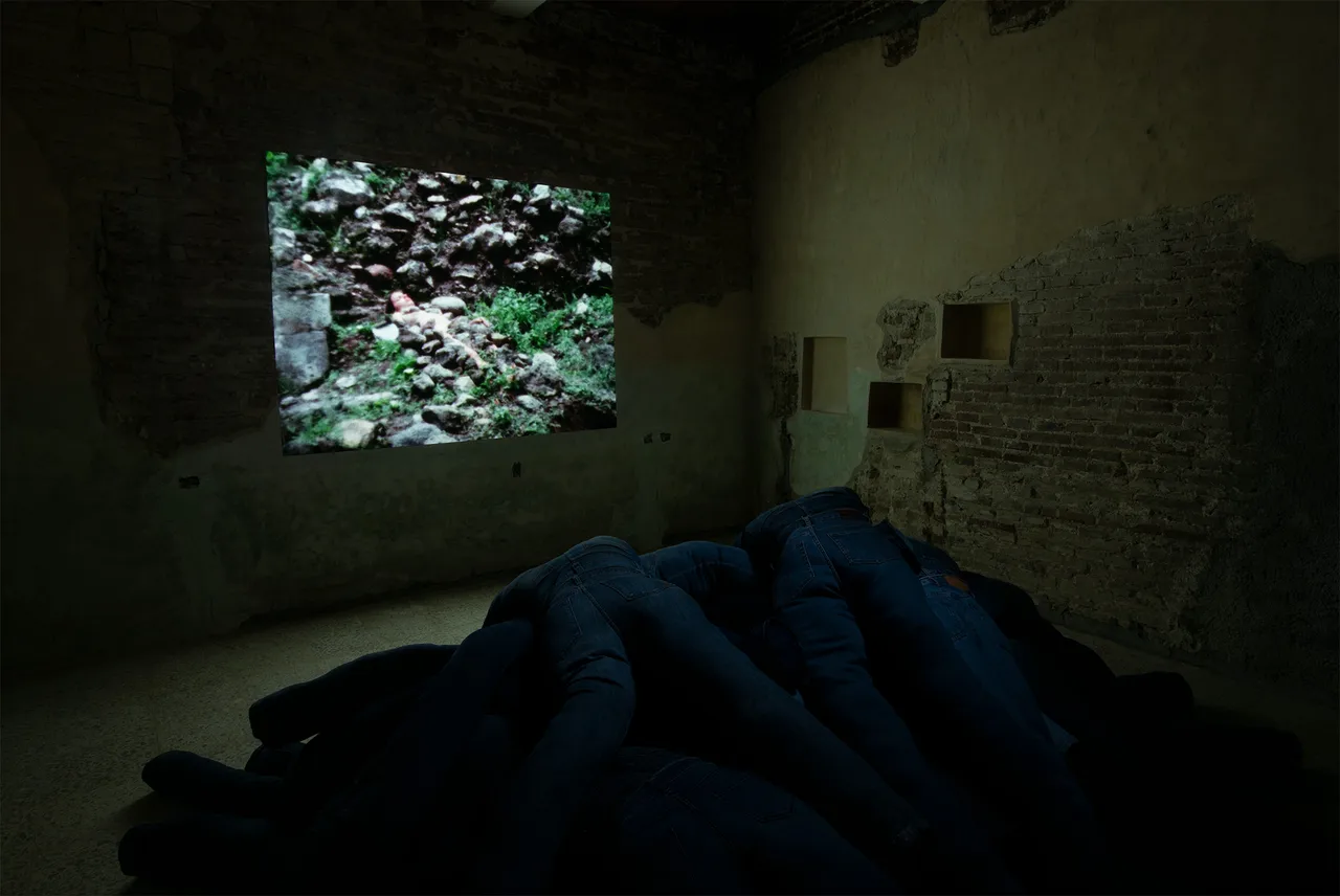 Ana Mendieta Metalmagazine 2