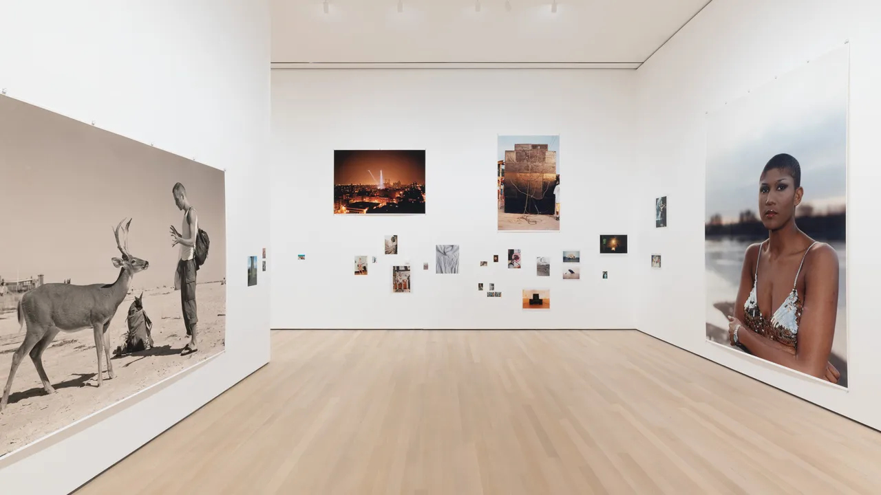 Wolfgang Tillmans to Look Without Fear Installation Image 2