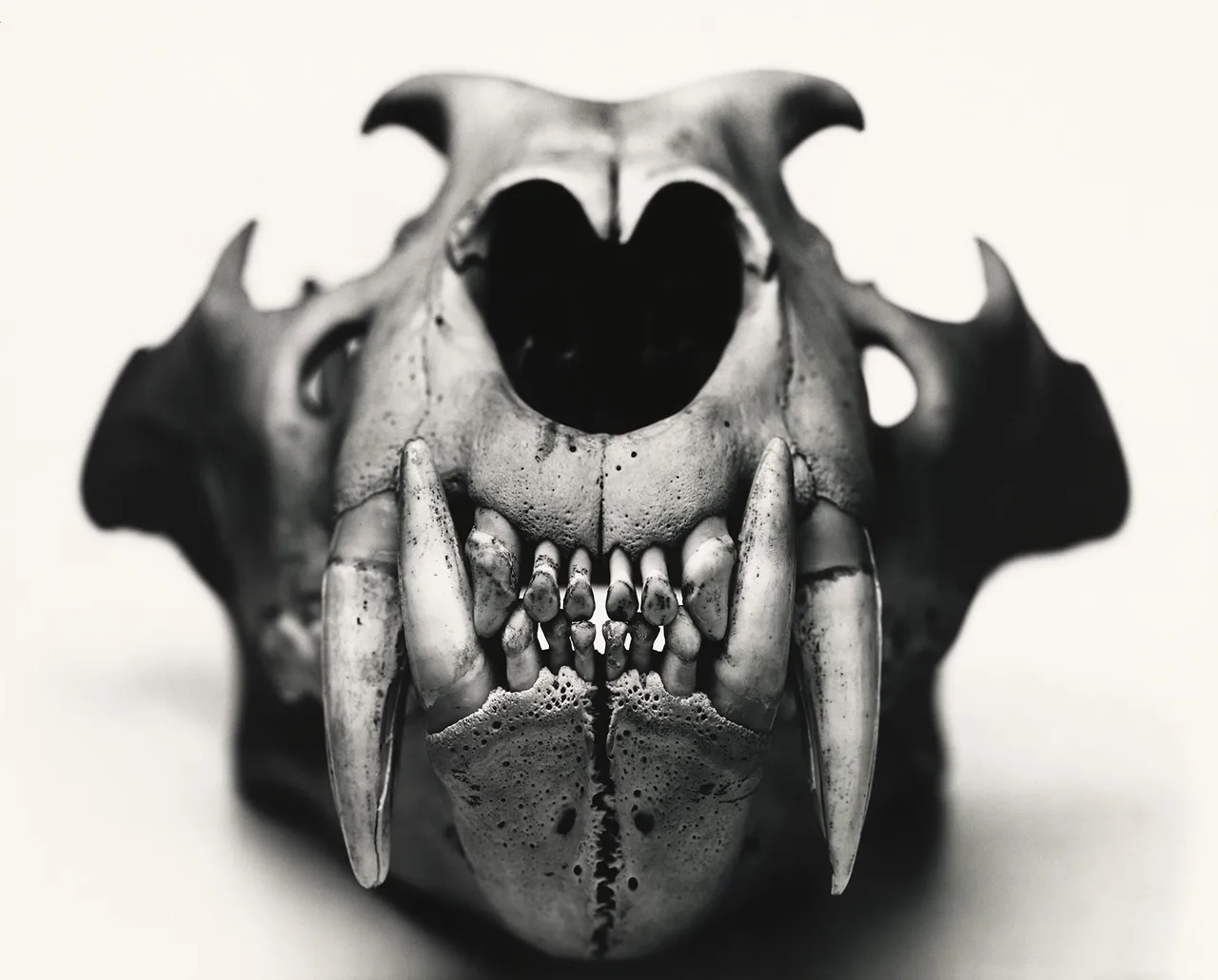 Irving Penn 5