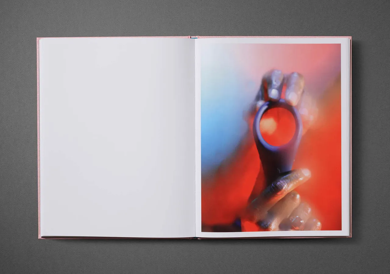 Marilyn Minter 1