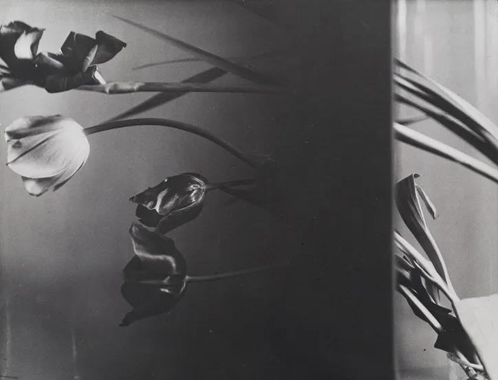 Florence Henri