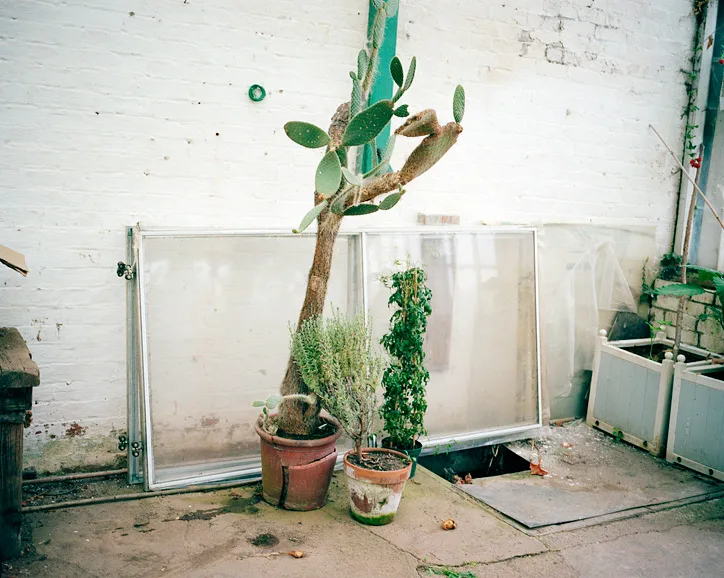Jo Metson Scott