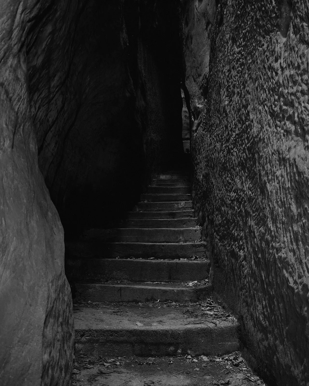 Tereza Zelenkova 02 Snake That Disappeared 02 Stairs Cesky Raj
