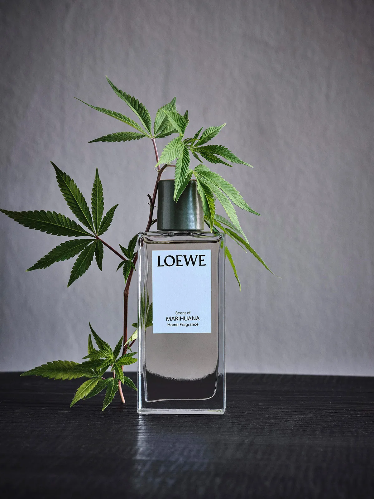 Loewe Home Scents Metalmagazine 1