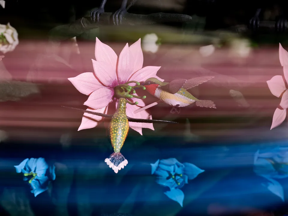Mat Collishaw