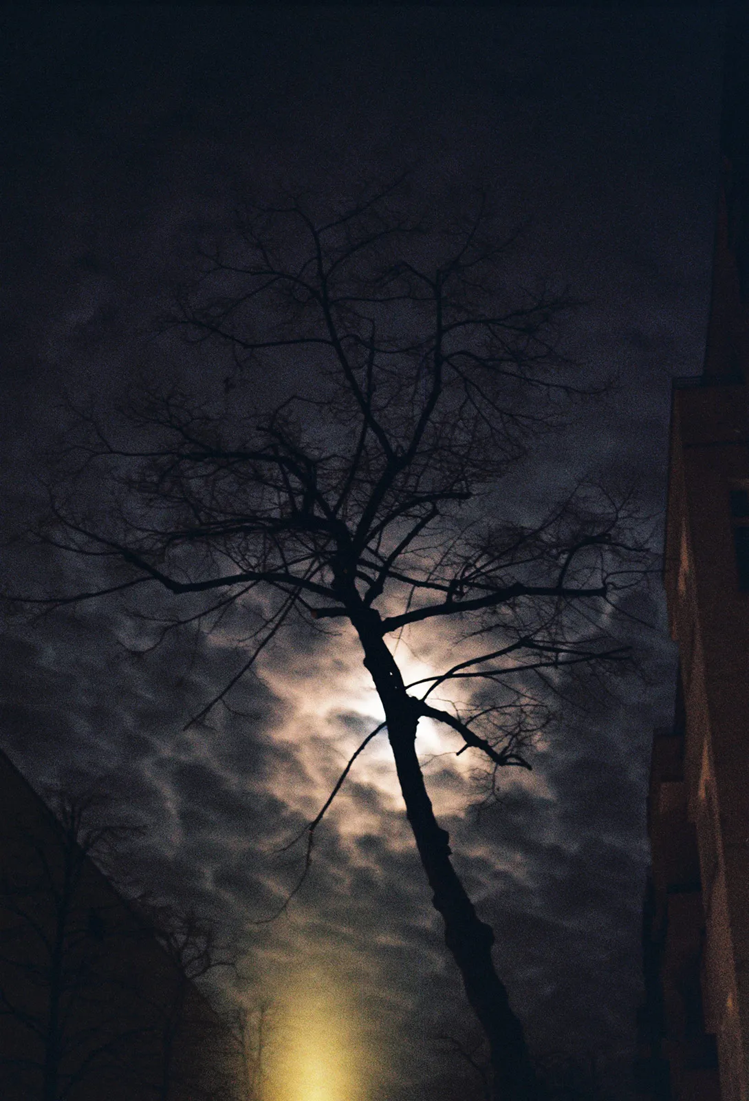 Night Tree Clouds