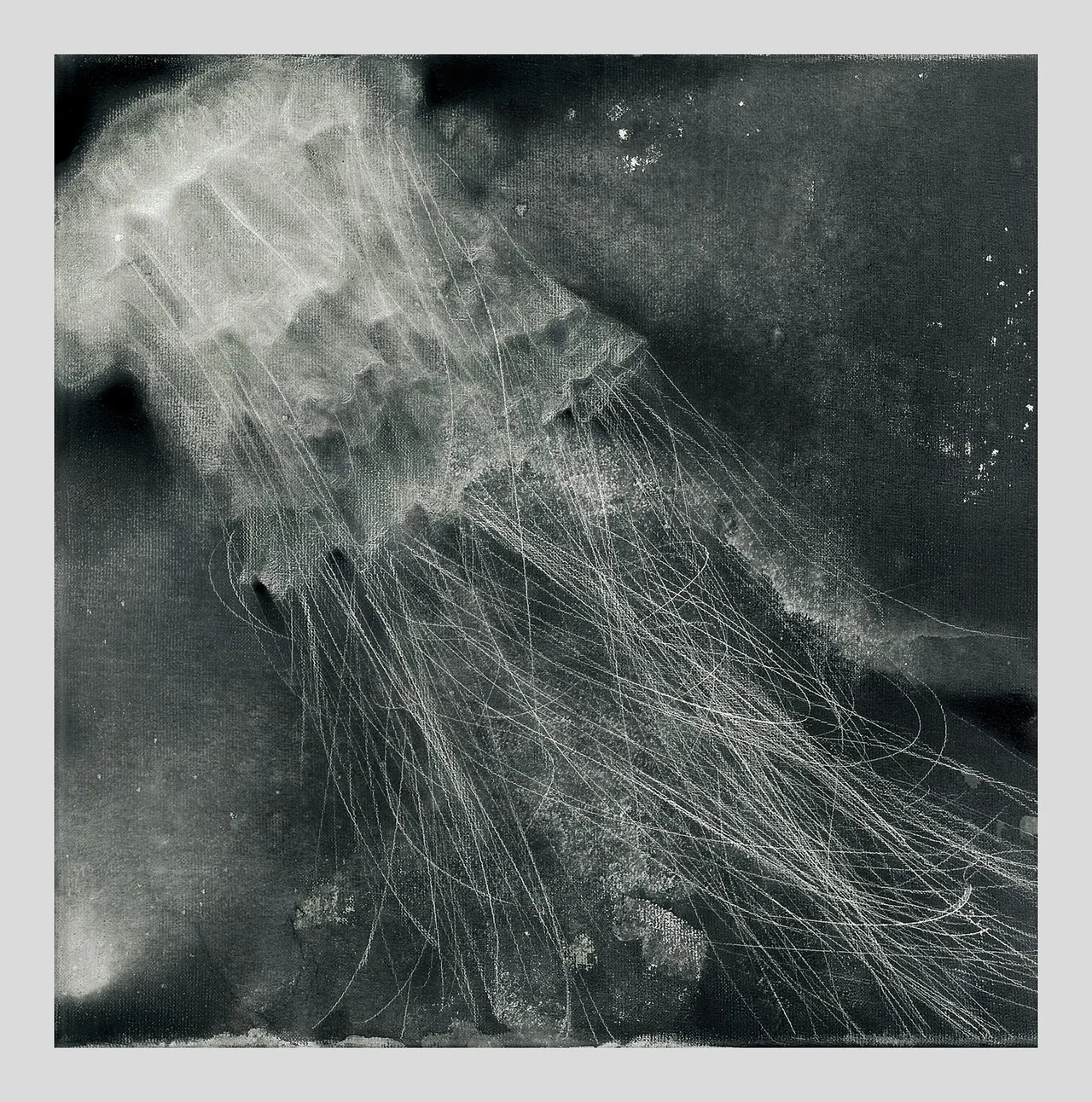 The Jellyfish
