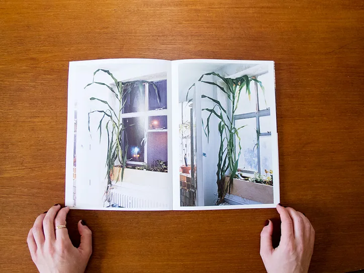 The Plant