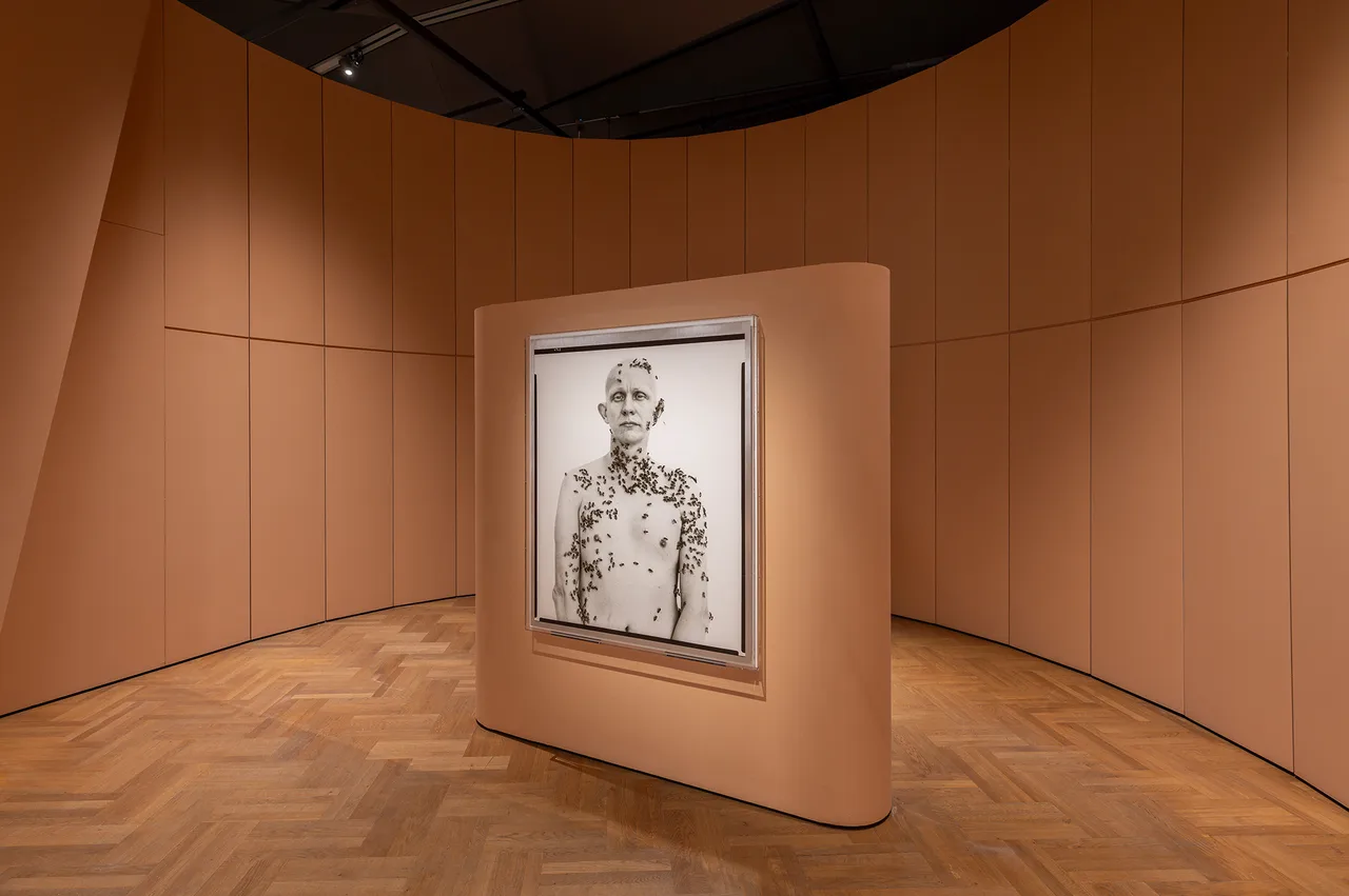 Installation-images-of-'Fragile-Beauty-at-VA-South-Kensington--Victoria-and-Albert-Museum-London-1