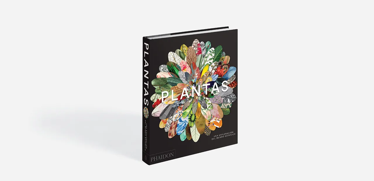 Plant   Sp 3 D Grey