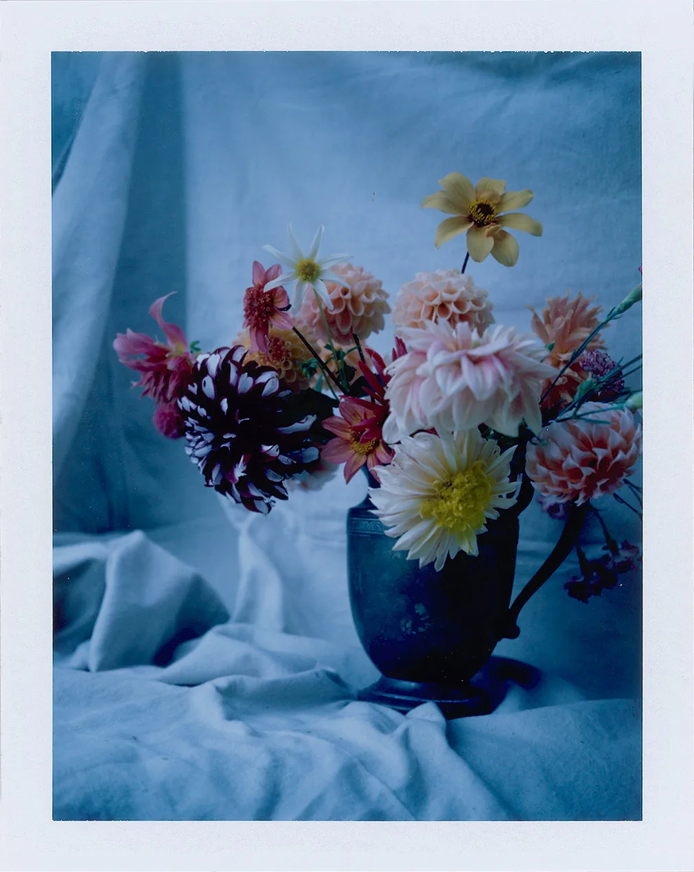 The Role of a Flower 12