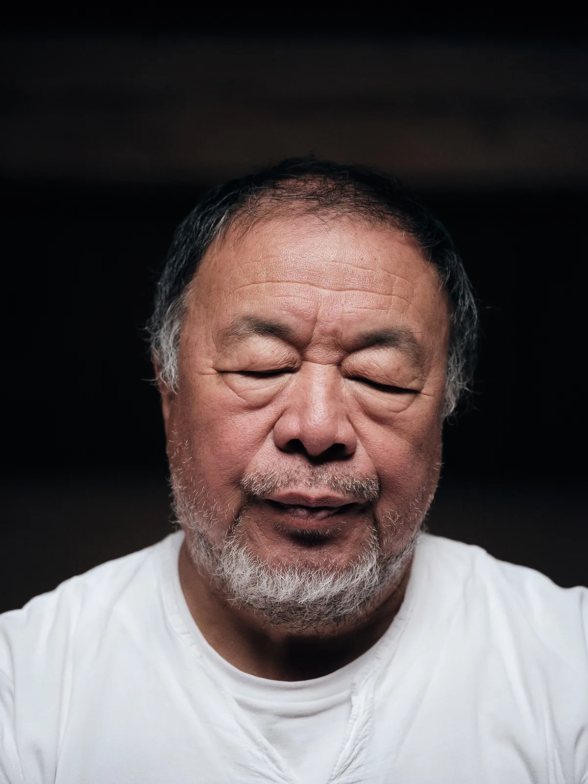 METAL-52-AIWEIWEI-5
