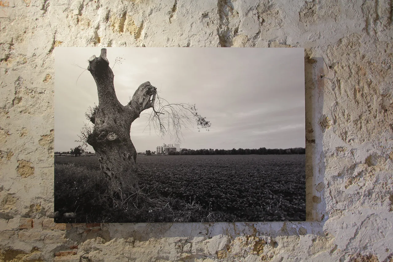 Orlow Uriel Img 2013 Wolfgang Traeger