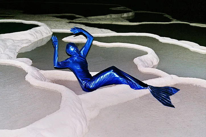 Synchrodogs