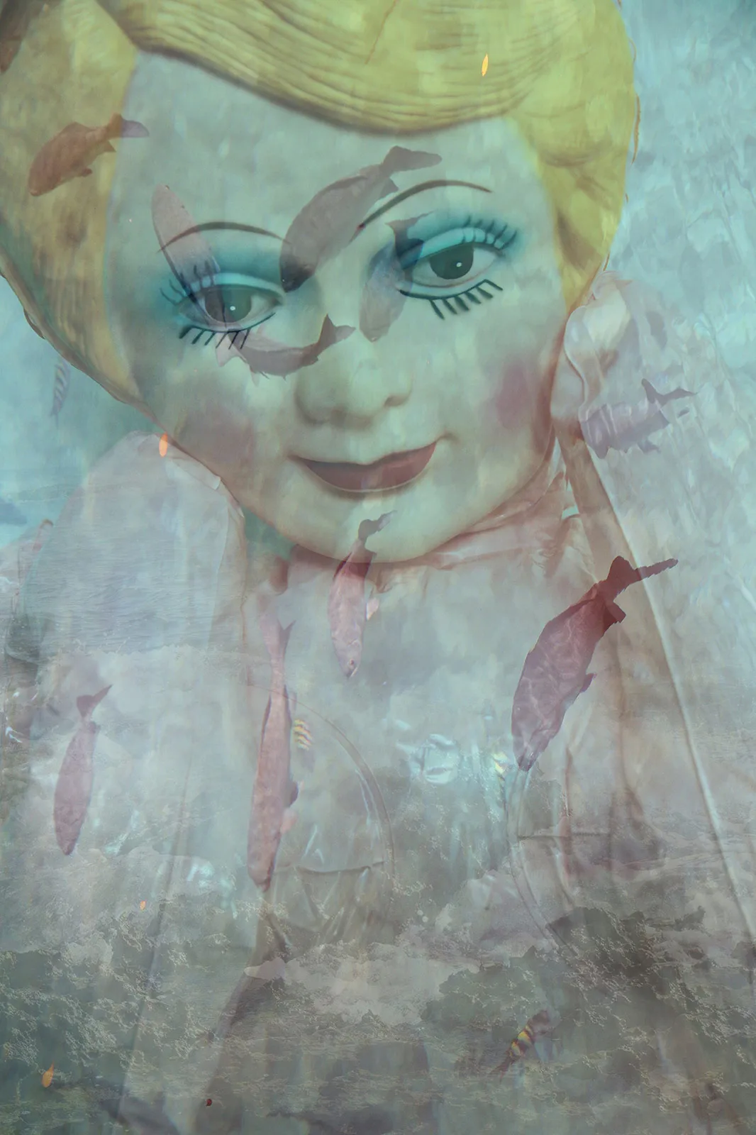 Judy Robert Lang 5