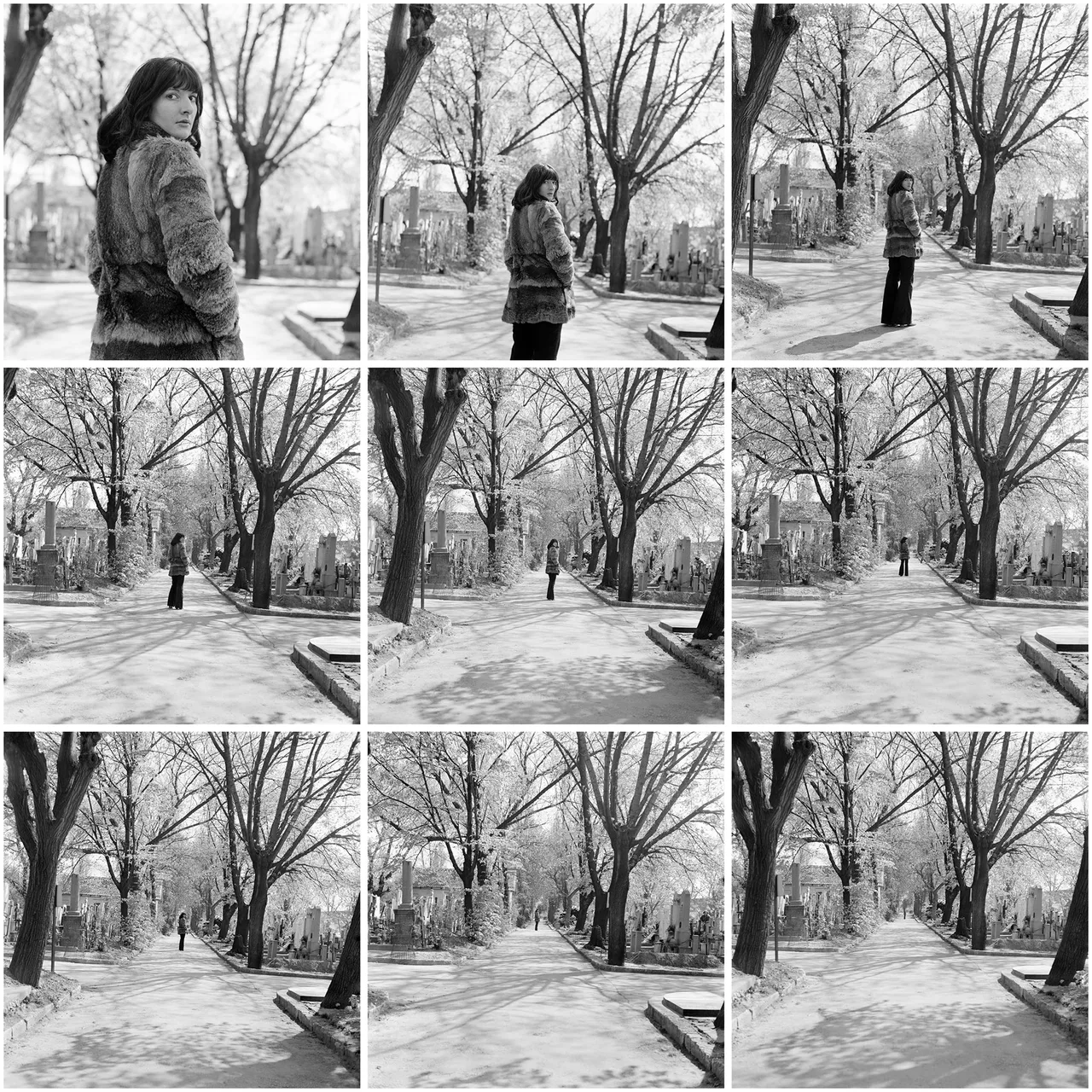 Coming and Going Image