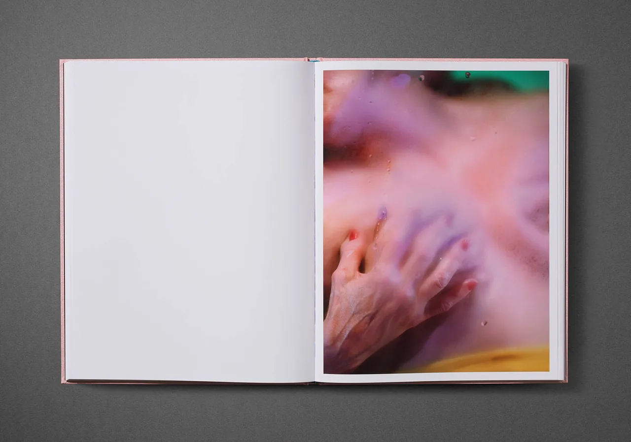 Marilyn Minter 9