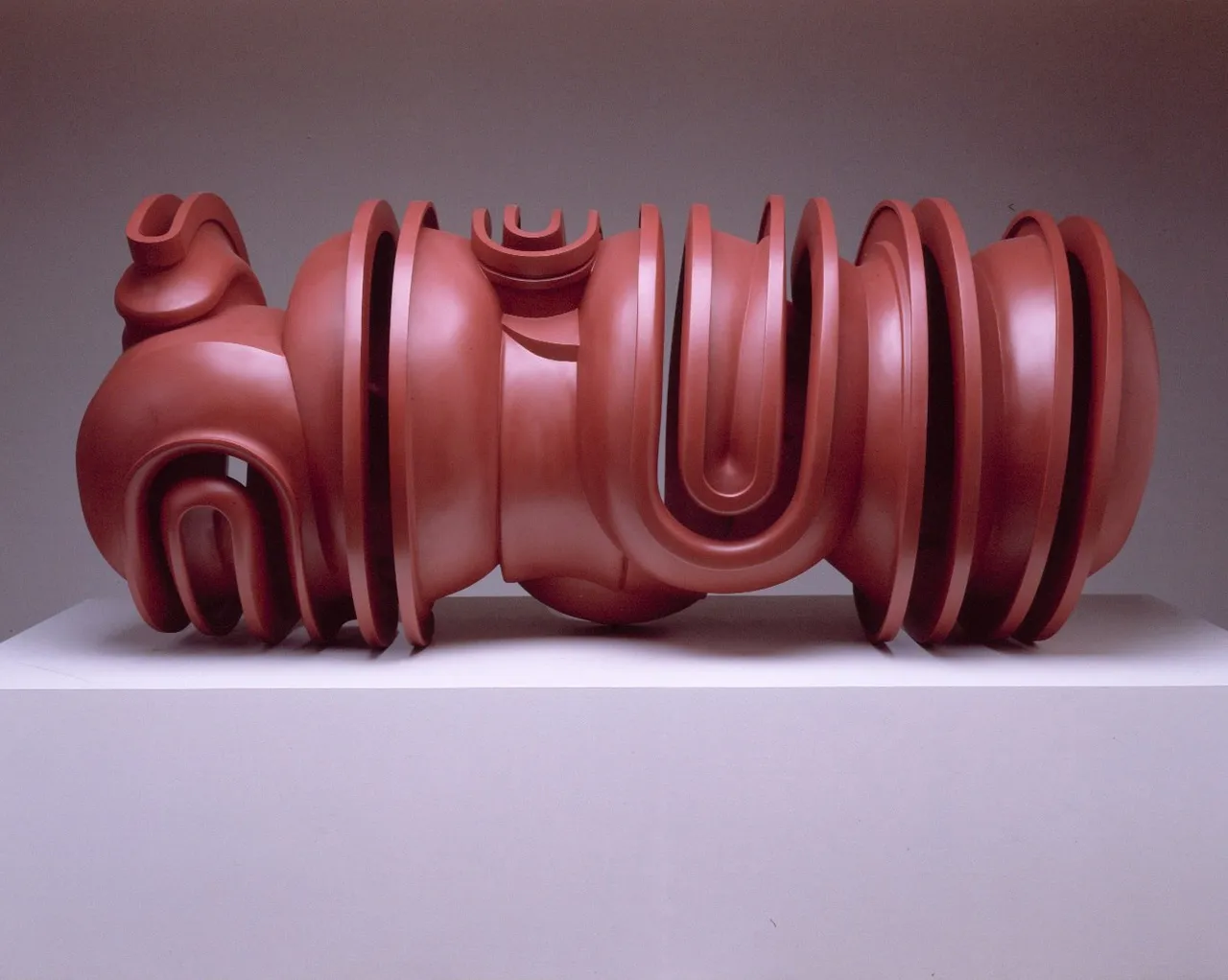 Tache Art Gallery Tony Cragg Sinbad 2000 Bronze 84 X 196 X 83 Cm