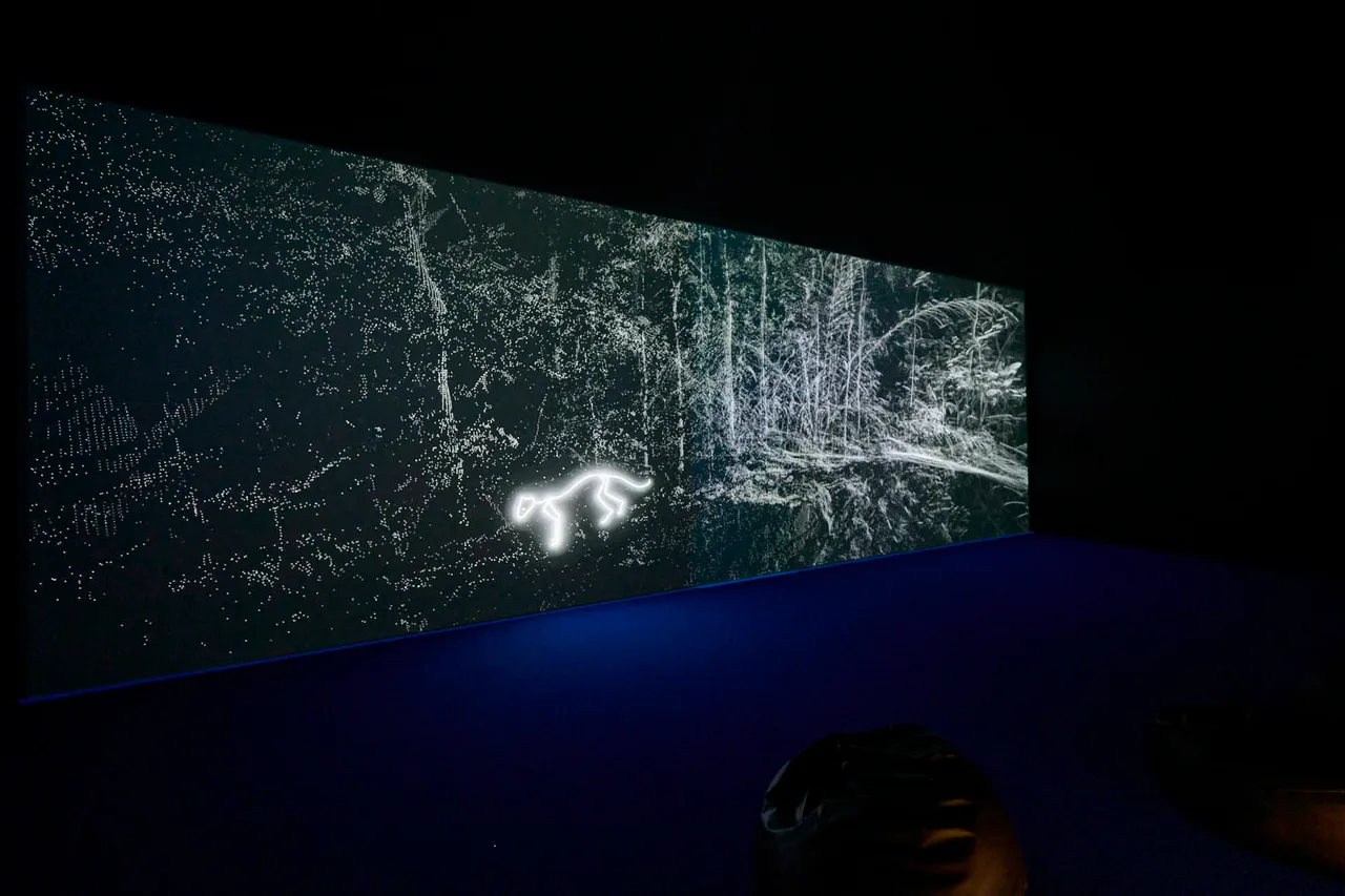 Daniel_Steegmann_expo_4