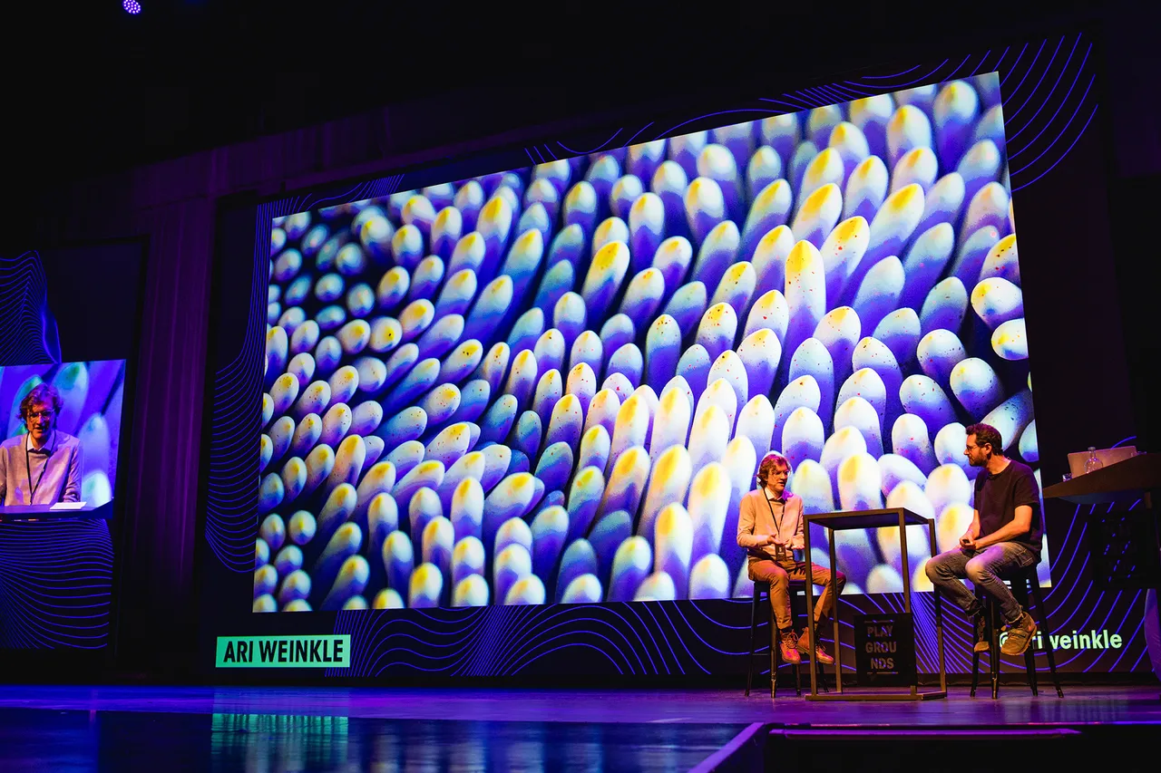Blend Festival 4