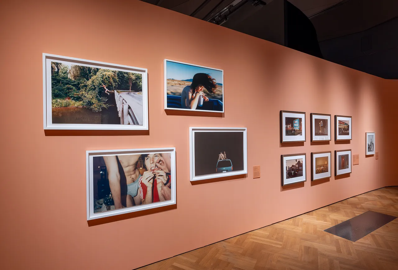 Installation-images-of-'Fragile-Beauty-at-VA-South-Kensington--Victoria-and-Albert-Museum-London-8