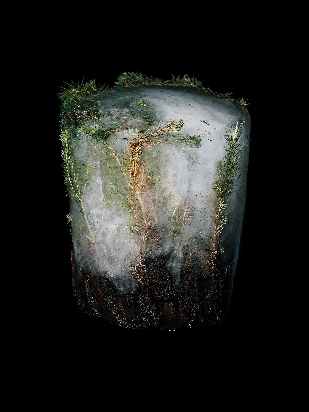 Fotografia Europea Festival2019 Metalmagazine 14