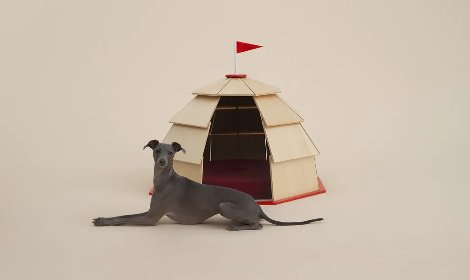 Architecture for Dogs