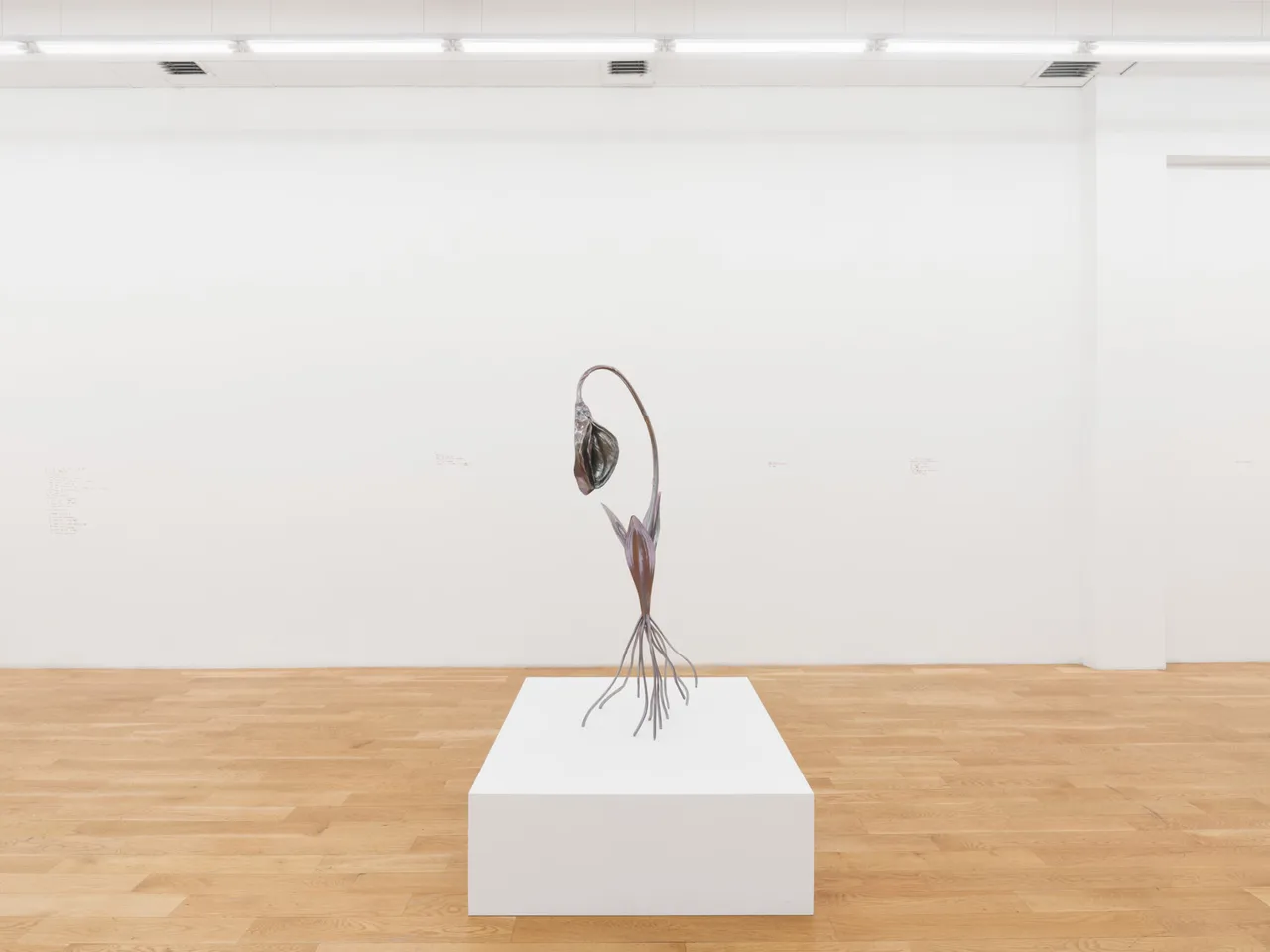 Alien Spring - Install View 8