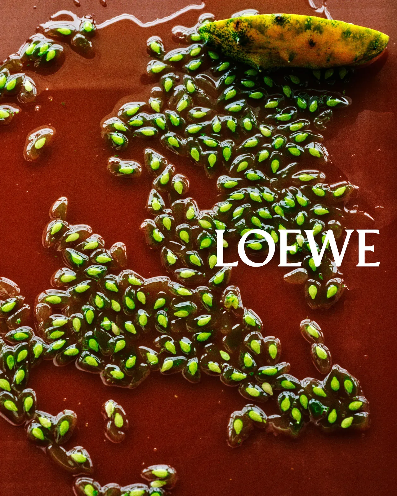 metal-loewe-edit-24
